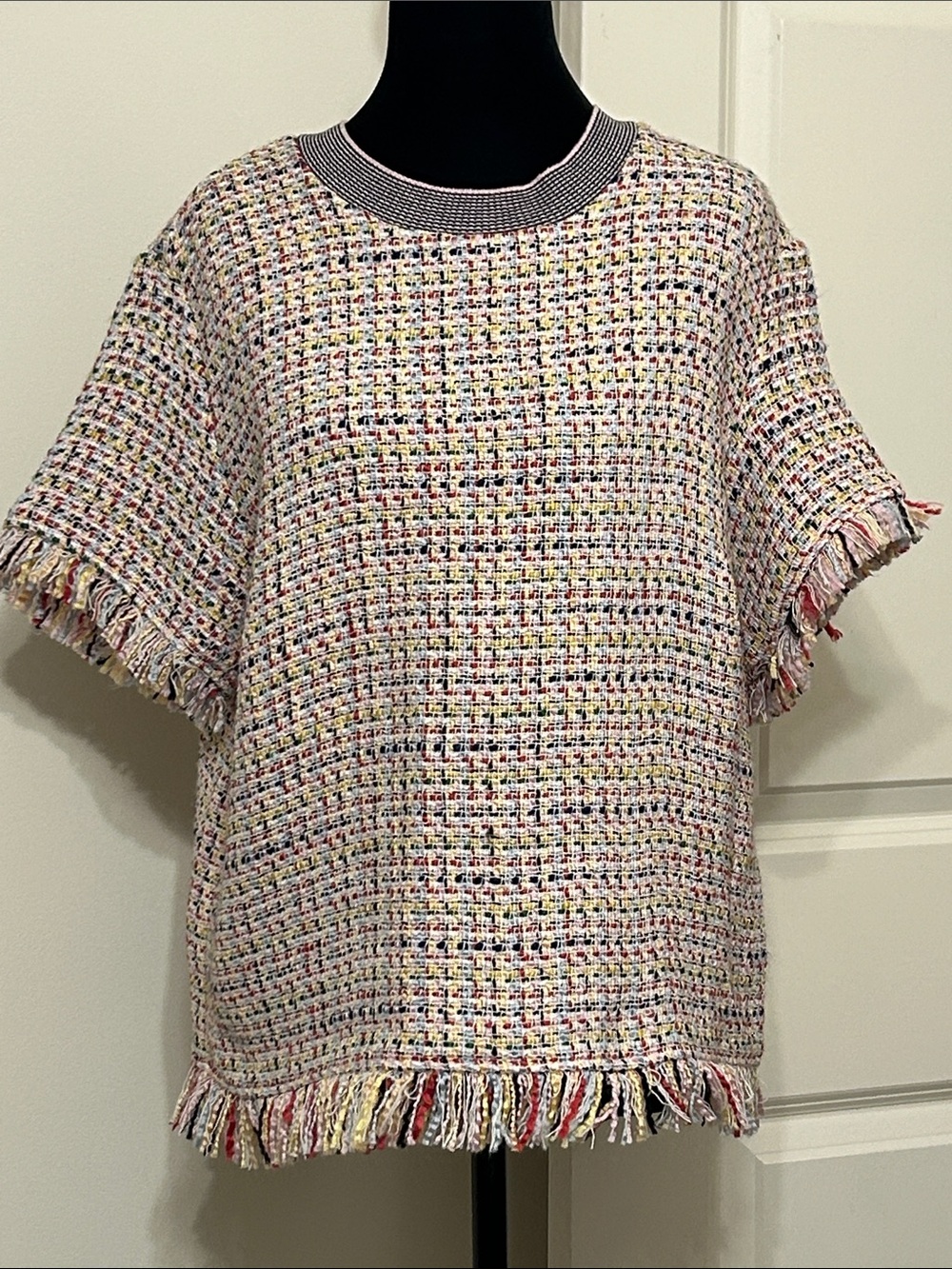 Zara Multicolor Tweed Fringe Short Sleeve Top